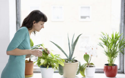 How to Give Your Home a Fresh Spring Smell