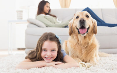 How to Balance Allergies and Pets