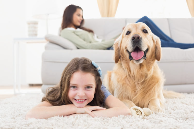 happy family and dog