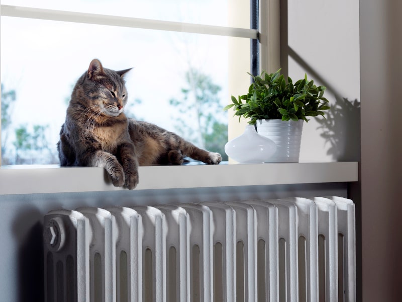 pets can affect HVAC system