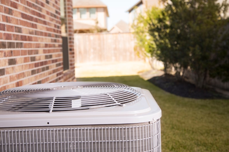 Top Of AC Unit In Yard