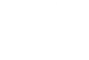 Sensigreen White Logo