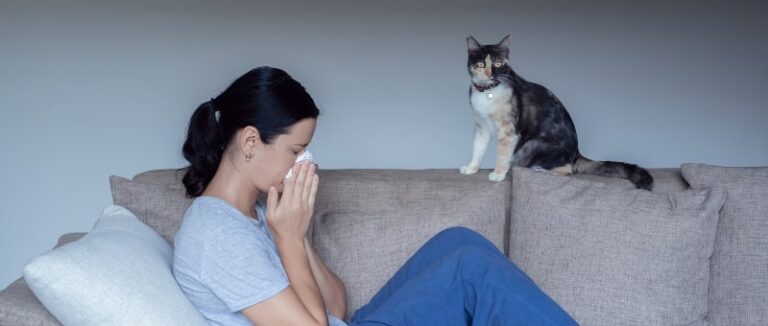 IAQ suffers with pets